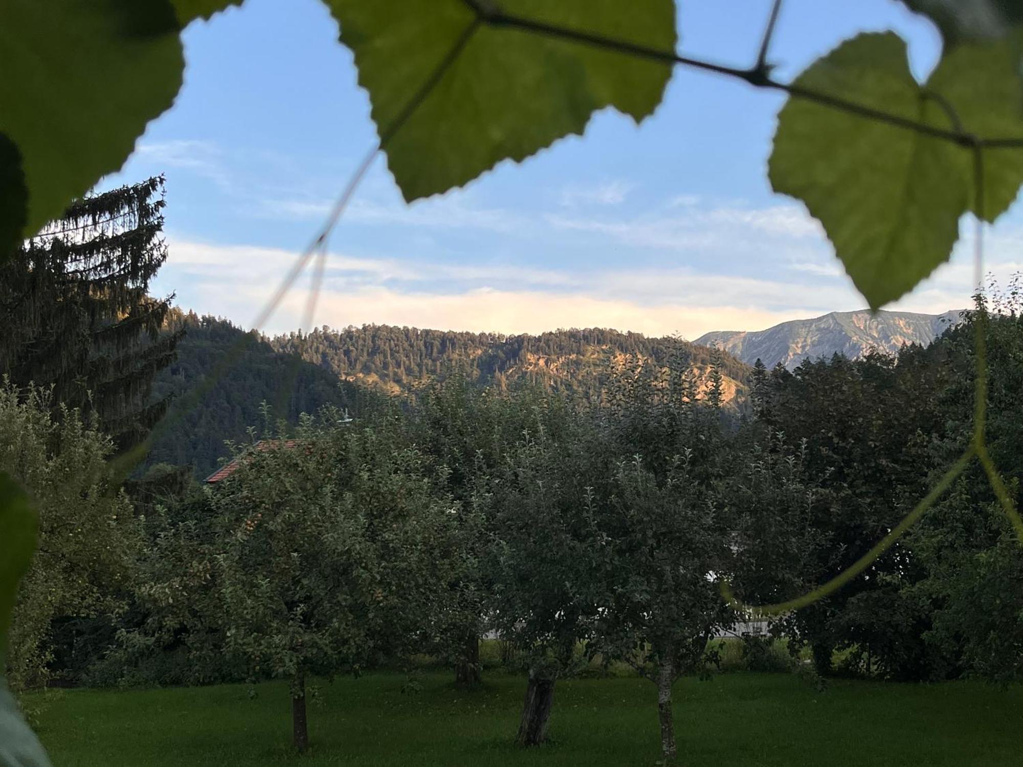 Gaestehaus Zum Thoma Kreuth Buitenkant foto