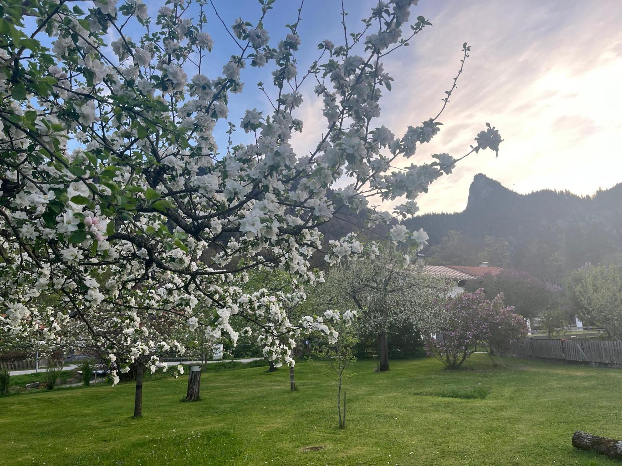 Gaestehaus Zum Thoma Kreuth Buitenkant foto